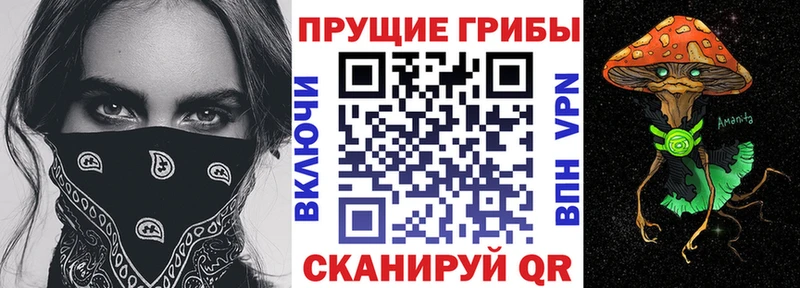 Купить  Лесной  Галлюциногенные грибы MAGIC MUSHROOMS 